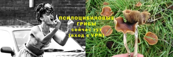 амф Абдулино
