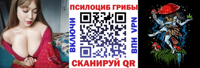 цены   Углегорск  Псилоцибиновые грибы Psilocybine cubensis 